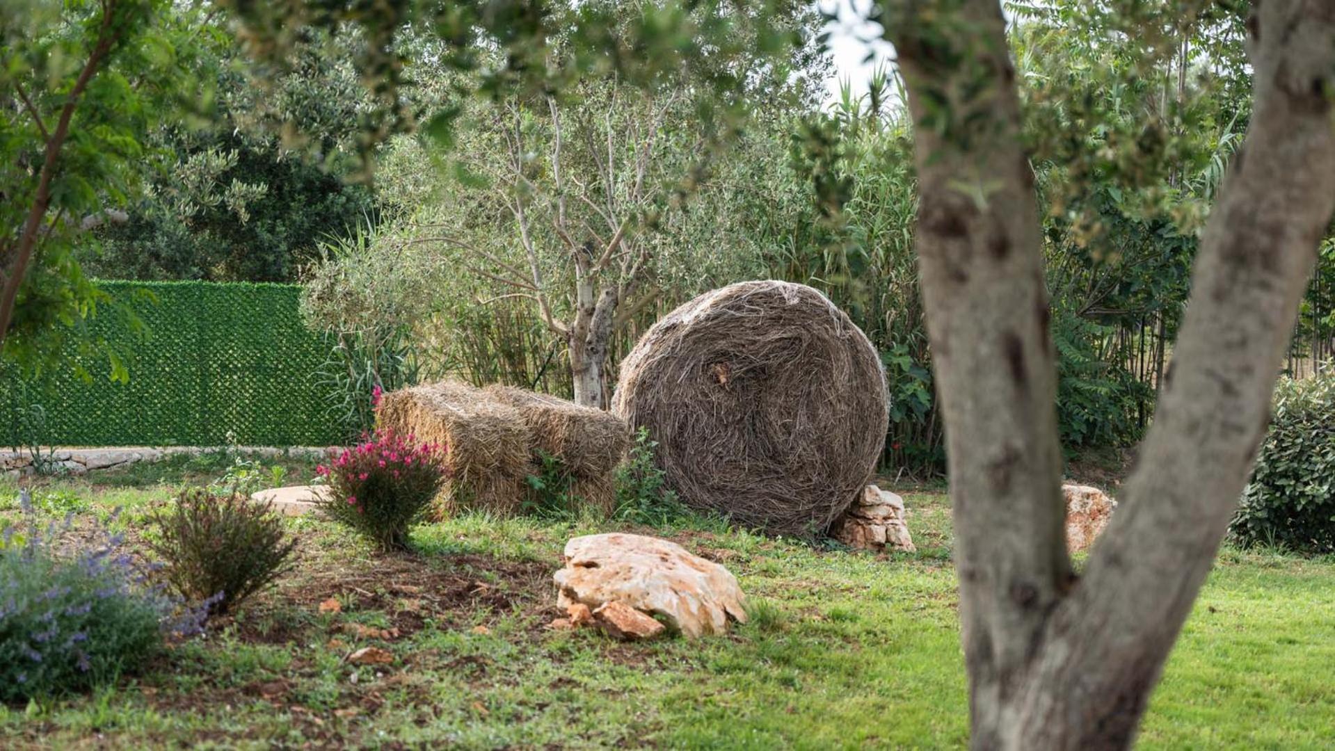 Petranima Wellness In Trulli Panzió Ostuni Kültér fotó